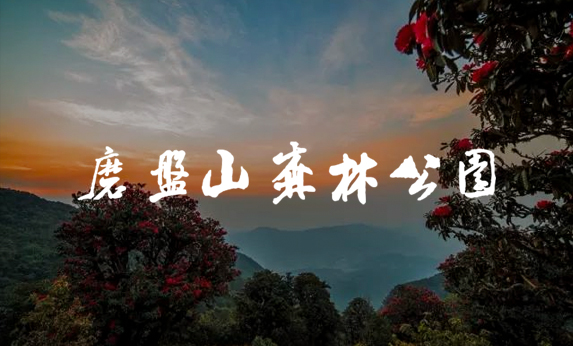 江西南昌磨盘山森林公园-北京分形智能 江西南昌磨盘山森林公园-北京分形智能